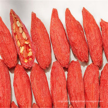 Berry goji health food with herb functions good for eyes